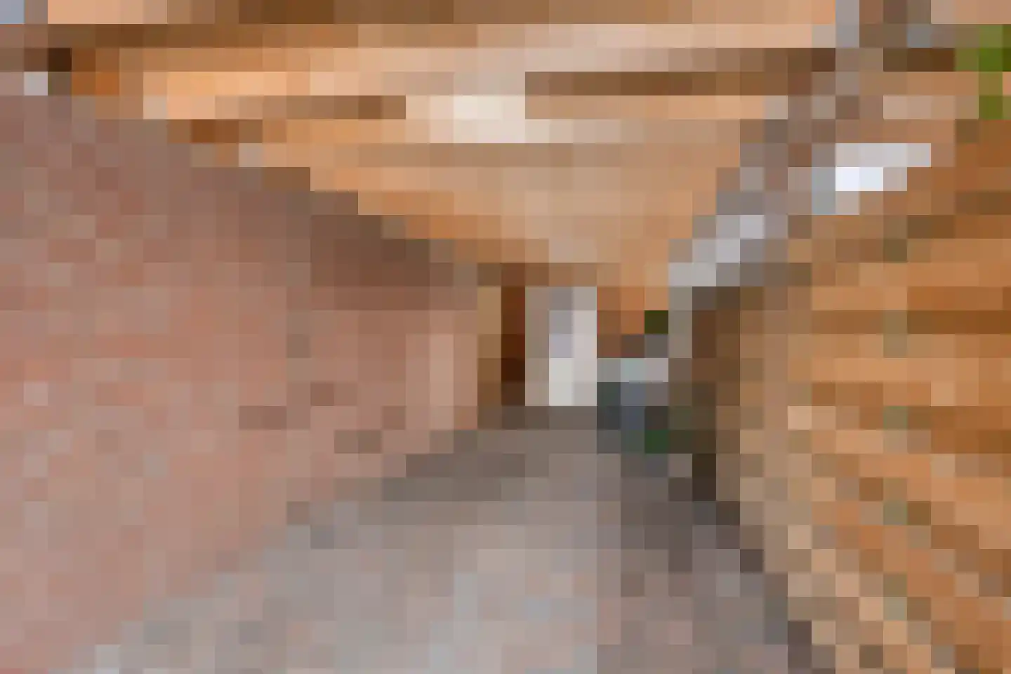 Noorderkroon 73 Roden thumbnail 40