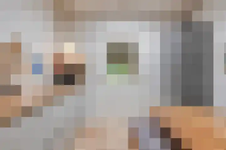 Noorderkroon 77 Roden thumbnail 15