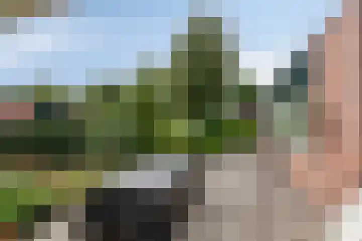 Noorderkroon 77 Roden thumbnail 23