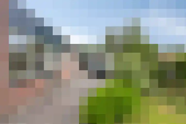 Noorderkroon 77 Roden thumbnail 26