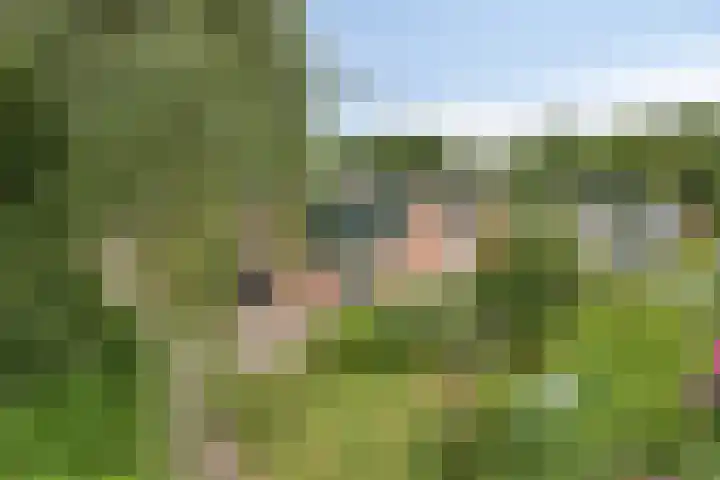 Noorderkroon 77 Roden thumbnail 27