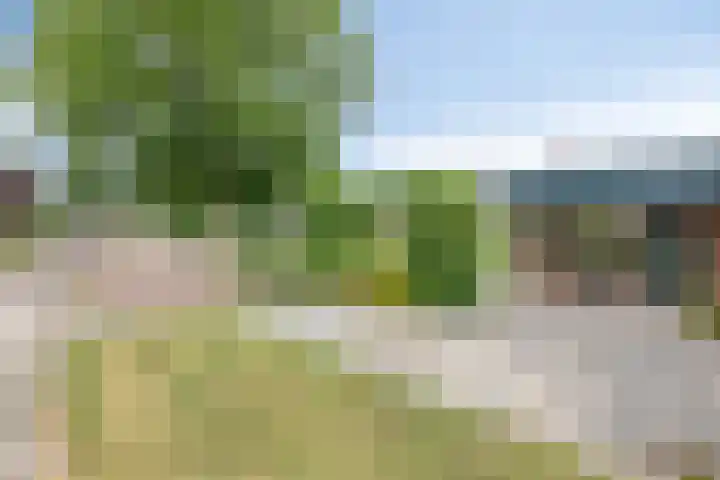 Noorderkroon 77 Roden thumbnail 28