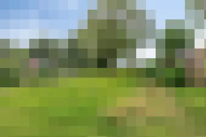 Noorderkroon 77 Roden thumbnail 29