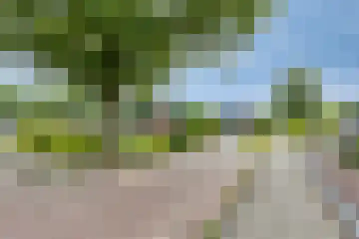 Noorderkroon 77 Roden thumbnail 4
