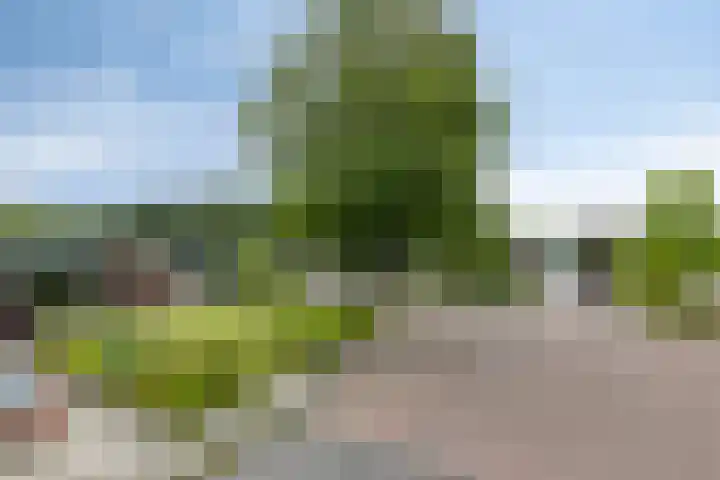 Noorderkroon 77 Roden thumbnail 5