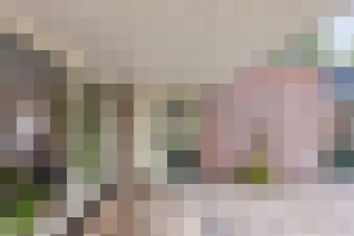 Noorderkroon 77 Roden thumbnail 7