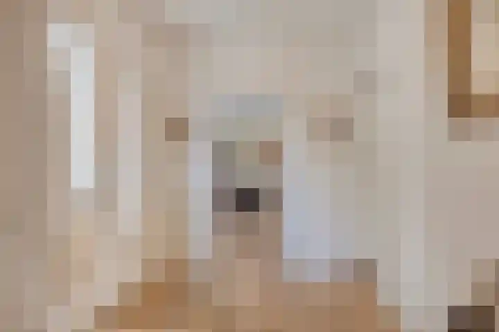 Noorderkroon 77 Roden thumbnail 9