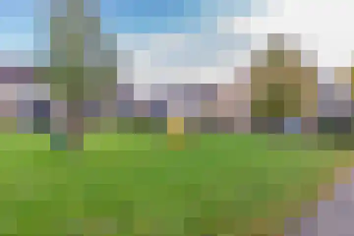 Noorderkroon 86 Veenendaal thumbnail 28