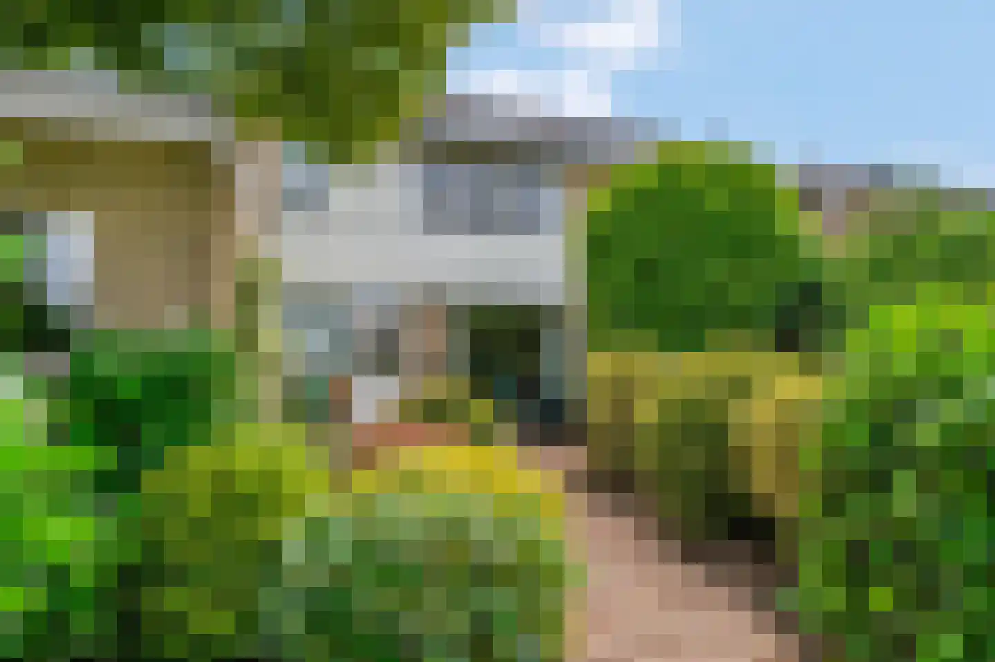 Noorderkroon 95 Veenendaal thumbnail 42