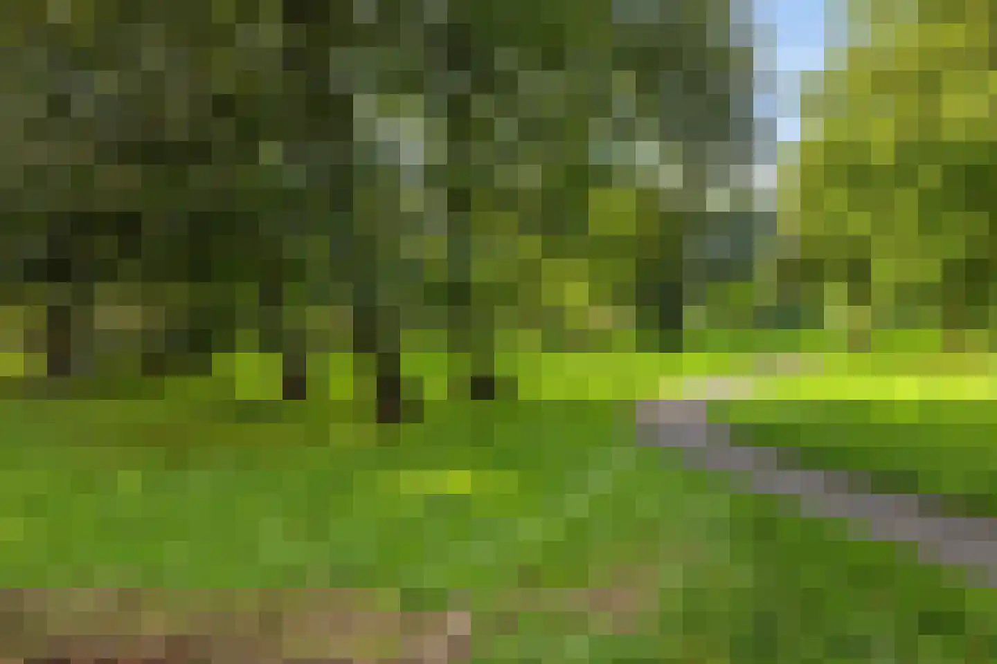 Noorderkroonstraat 185 Groningen thumbnail 34