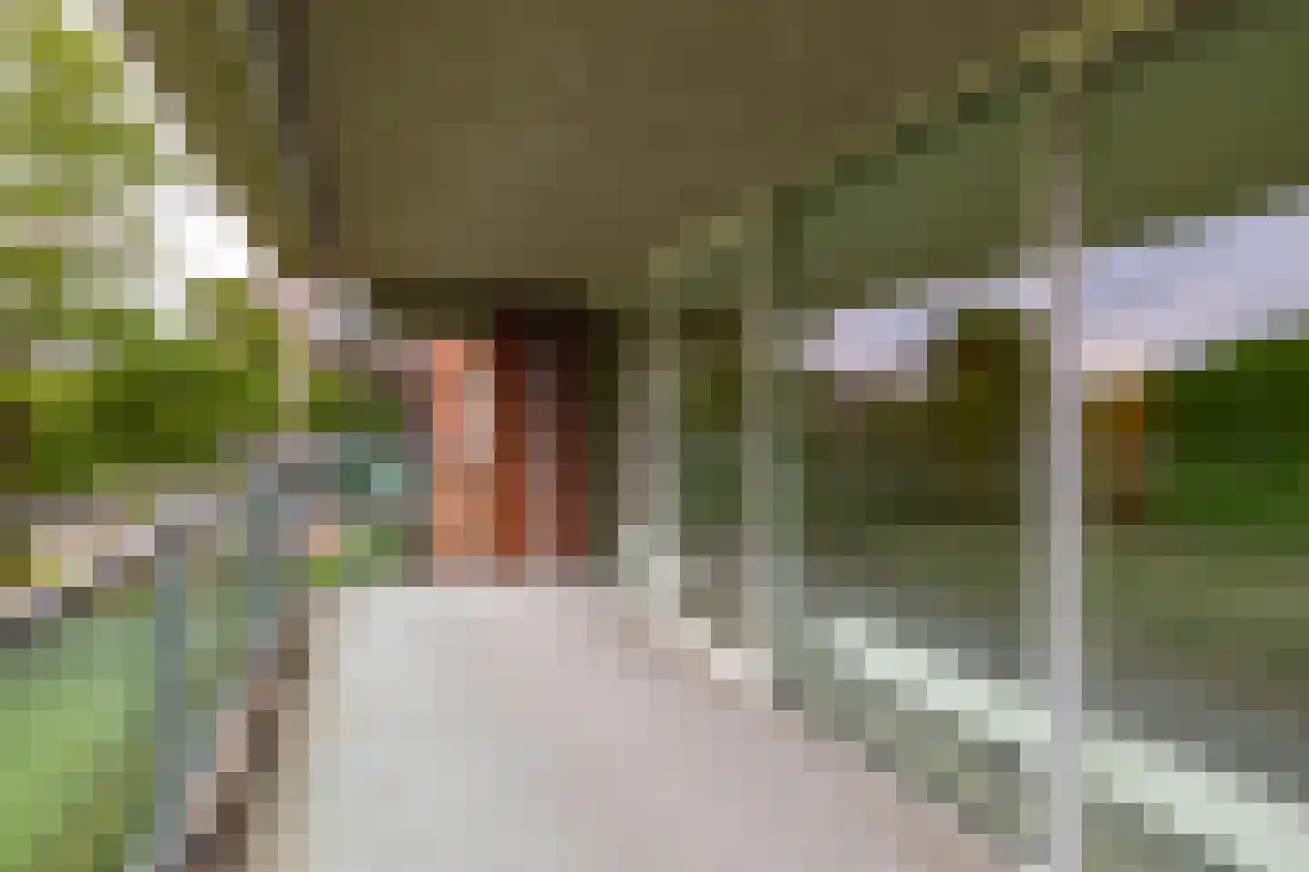 Noorderkroonstraat 193 Groningen thumbnail 20
