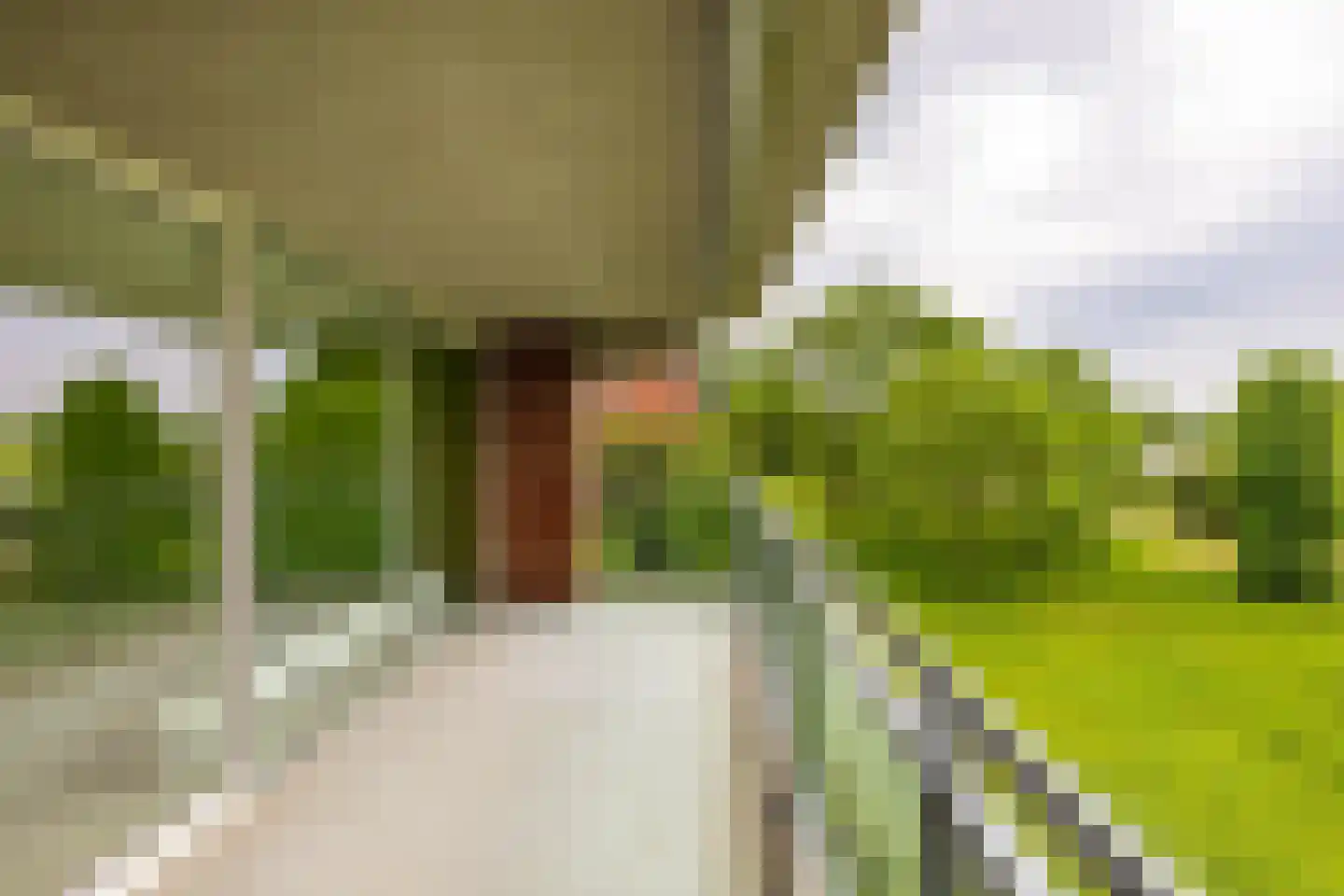 Noorderkroonstraat 193 Groningen thumbnail 21
