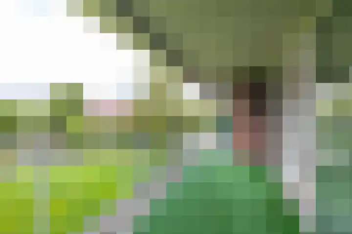 Noorderkroonstraat 201 Groningen thumbnail 10