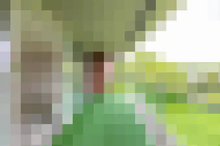Noorderkroonstraat 201 Groningen thumbnail 11