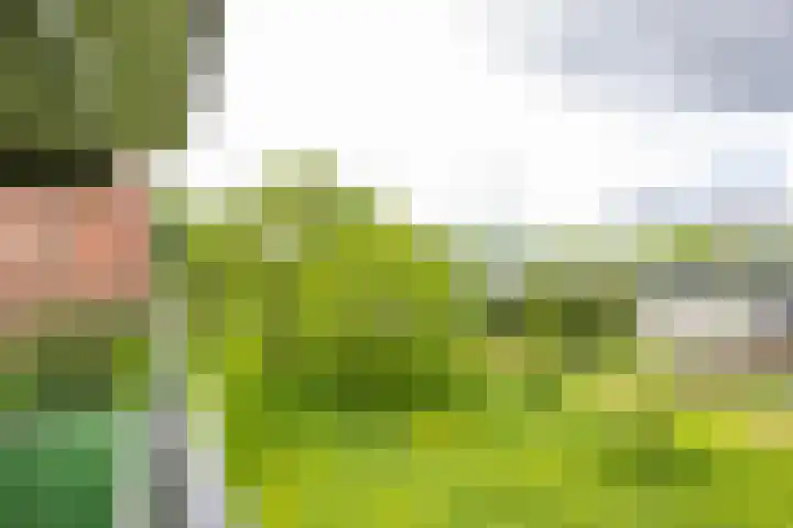 Noorderkroonstraat 201 Groningen thumbnail 12