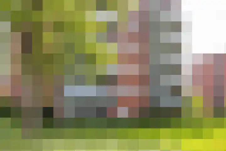 Noorderkroonstraat 201 Groningen thumbnail 20