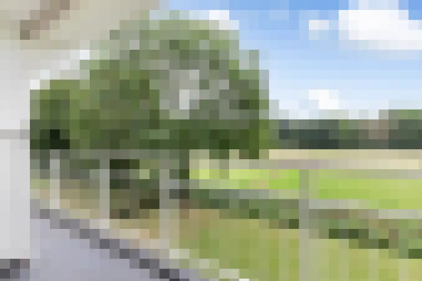 Noorderkroonstraat 28 Dordrecht thumbnail 13
