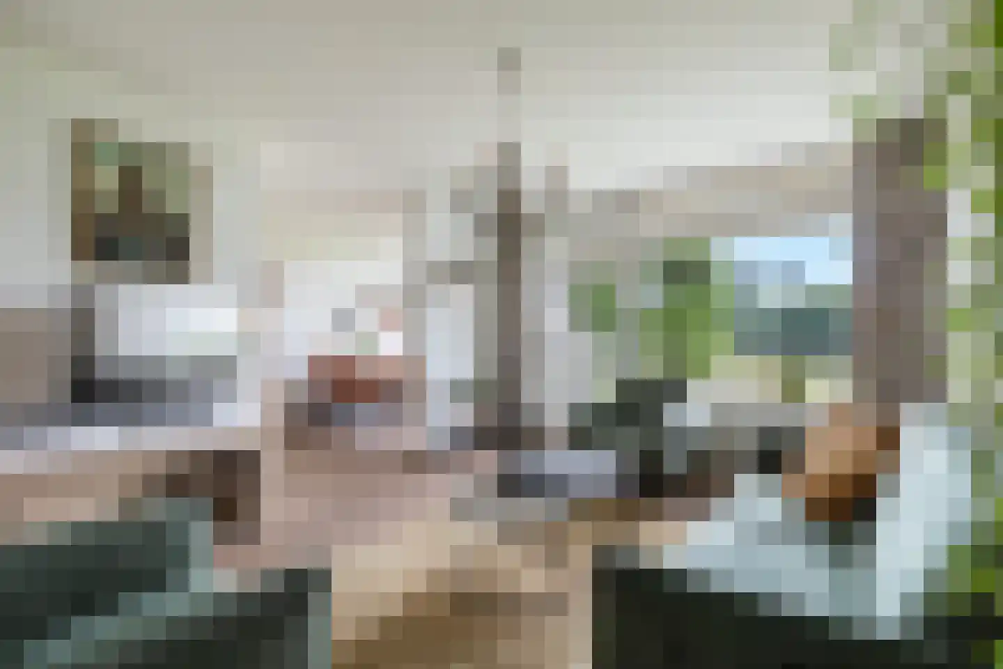 Noorderkroonstraat 28 Dordrecht thumbnail 8