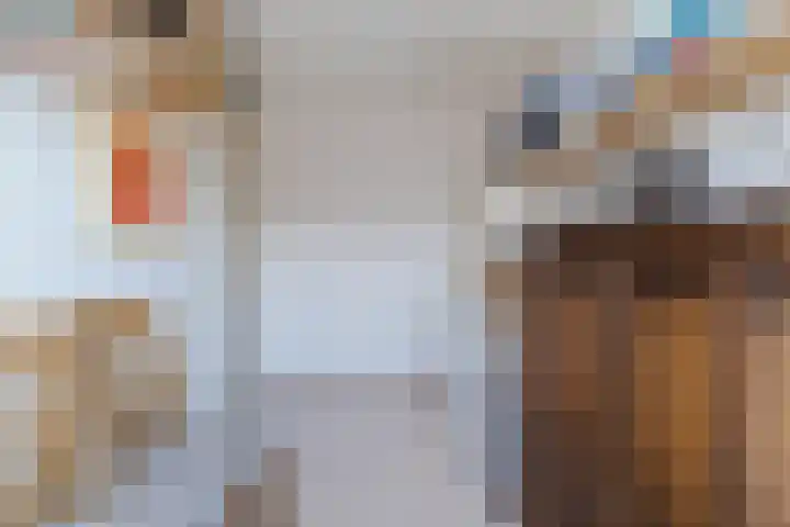 Noorderlaan 103 Dongen thumbnail 21