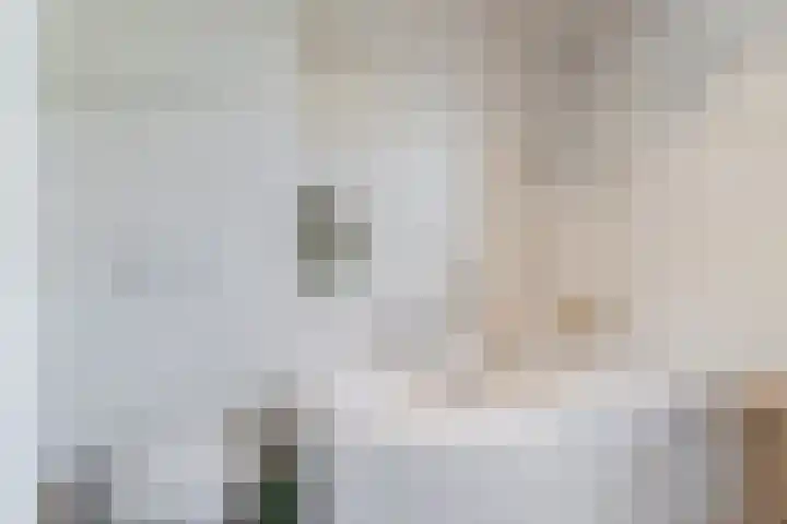 Noorderlaan 103 Dongen thumbnail 25