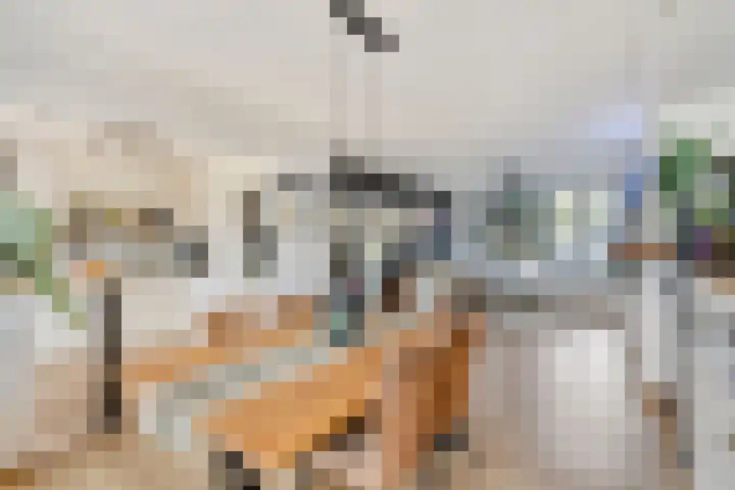 Noorderlaan 11 Someren thumbnail 14