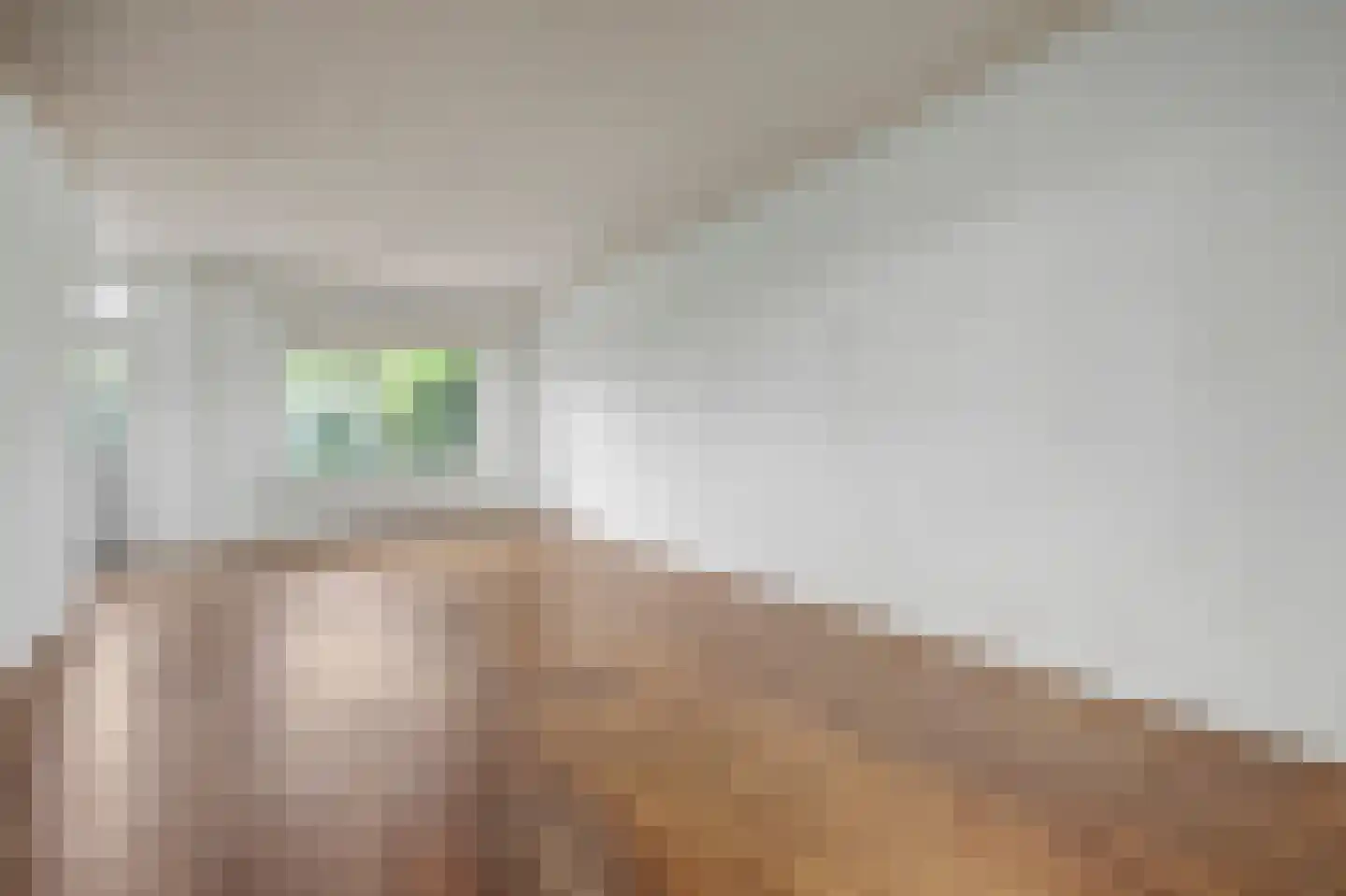 Noorderlaan 125 Dongen thumbnail 11