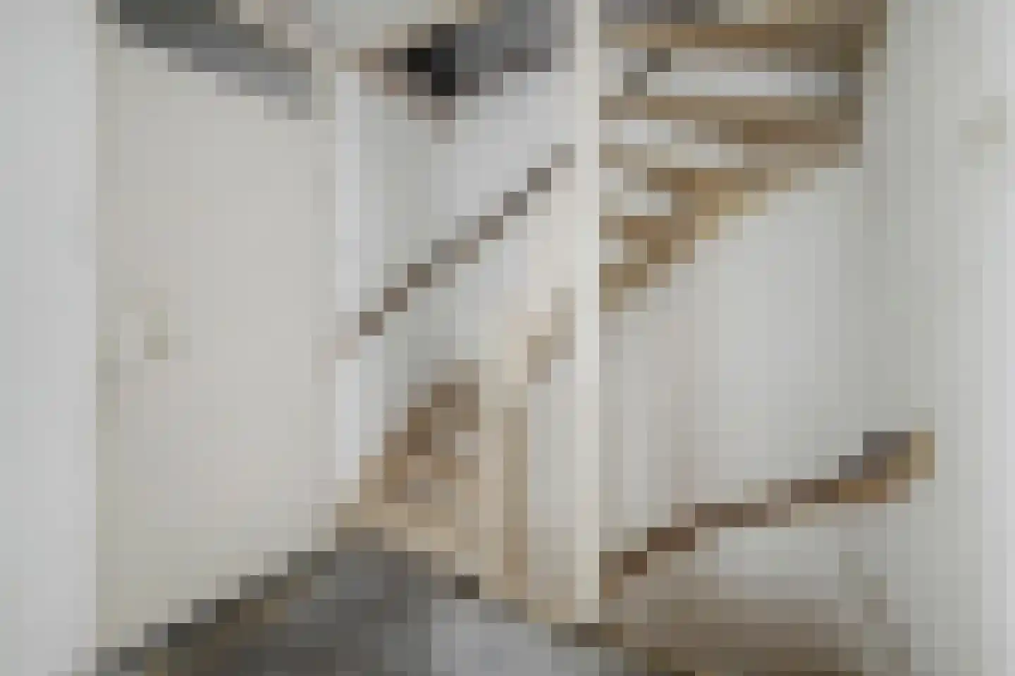 Noorderlaan 125 Dongen thumbnail 18