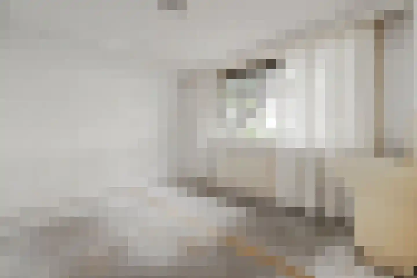 Noorderlaan 125 Dongen thumbnail 19