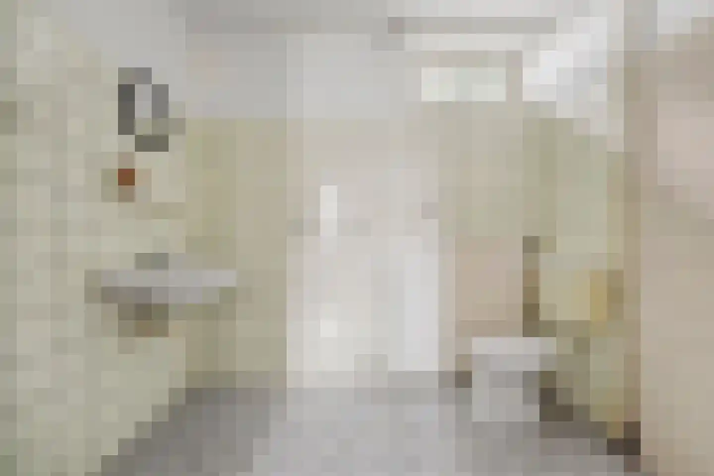 Noorderlaan 125 Dongen thumbnail 25