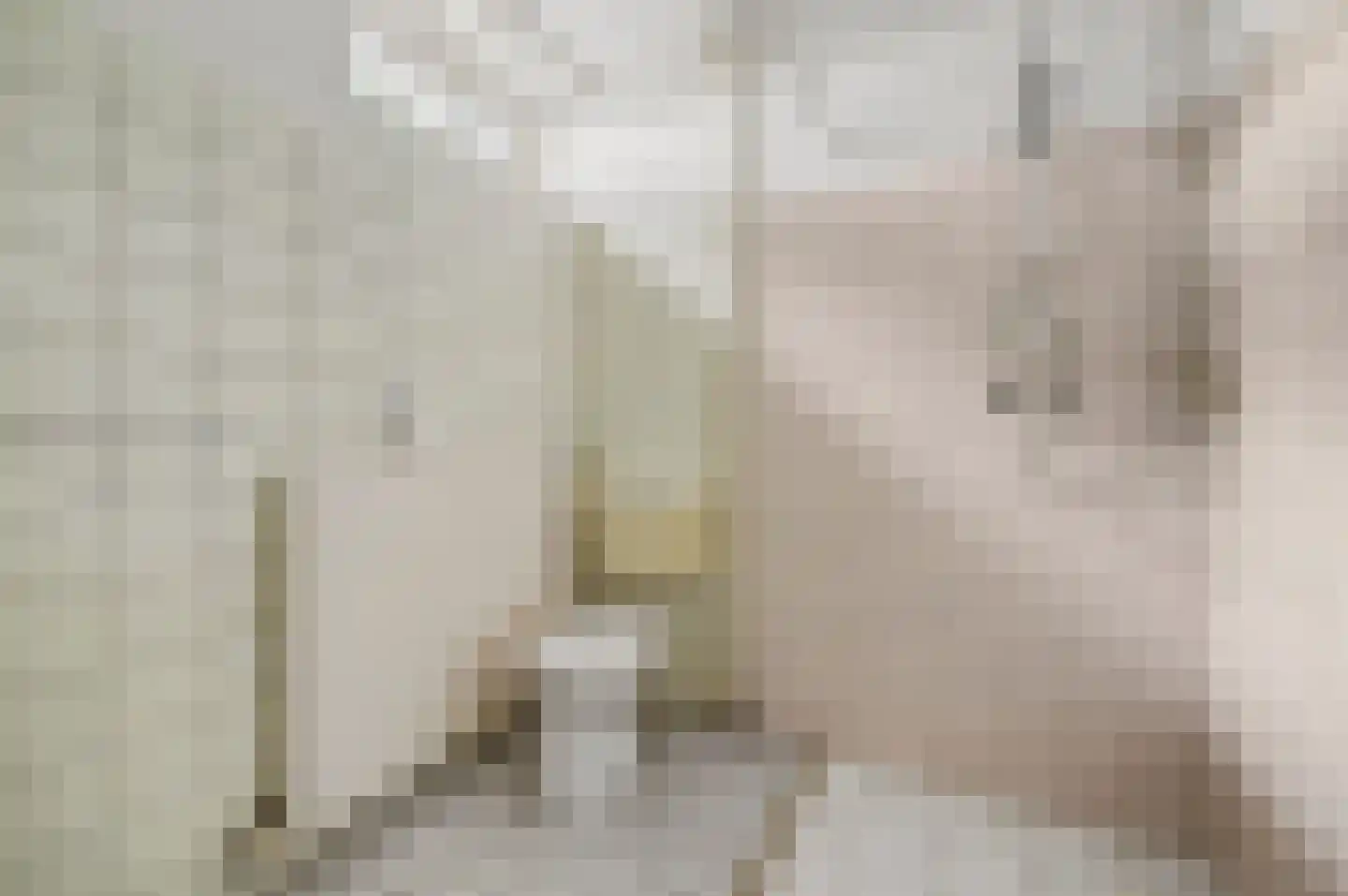 Noorderlaan 125 Dongen thumbnail 26