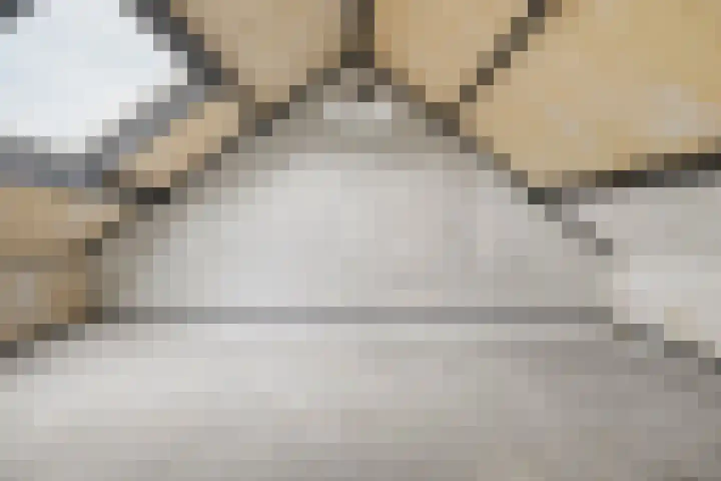 Noorderlaan 125 Dongen thumbnail 28