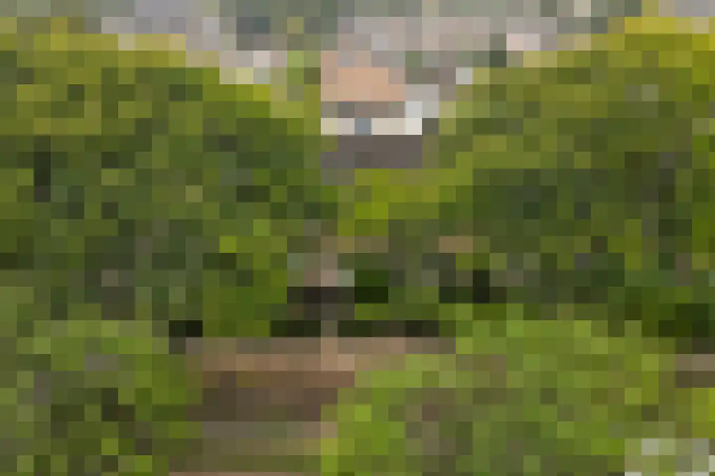 Noorderlaan 125 Dongen thumbnail 36
