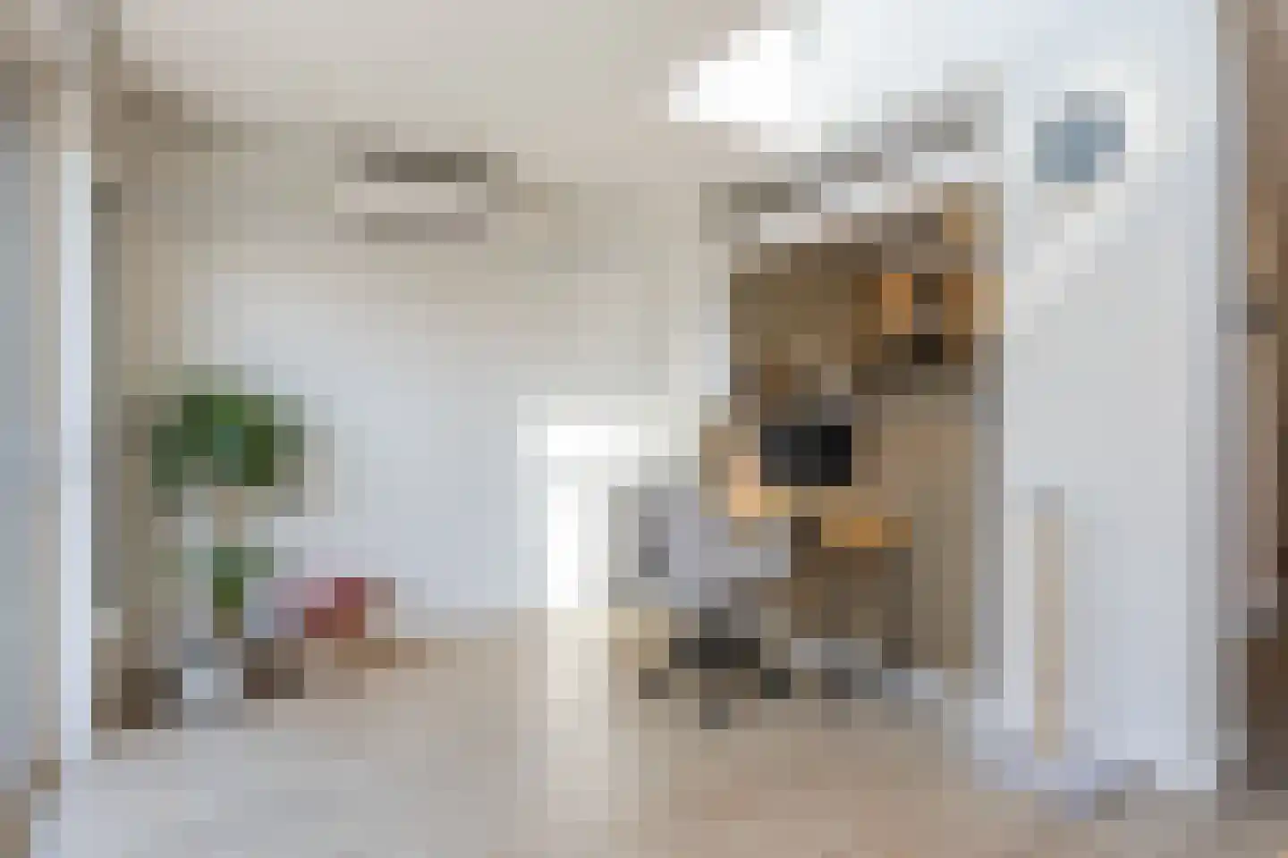 Noorderlaan 131 Dongen thumbnail 13