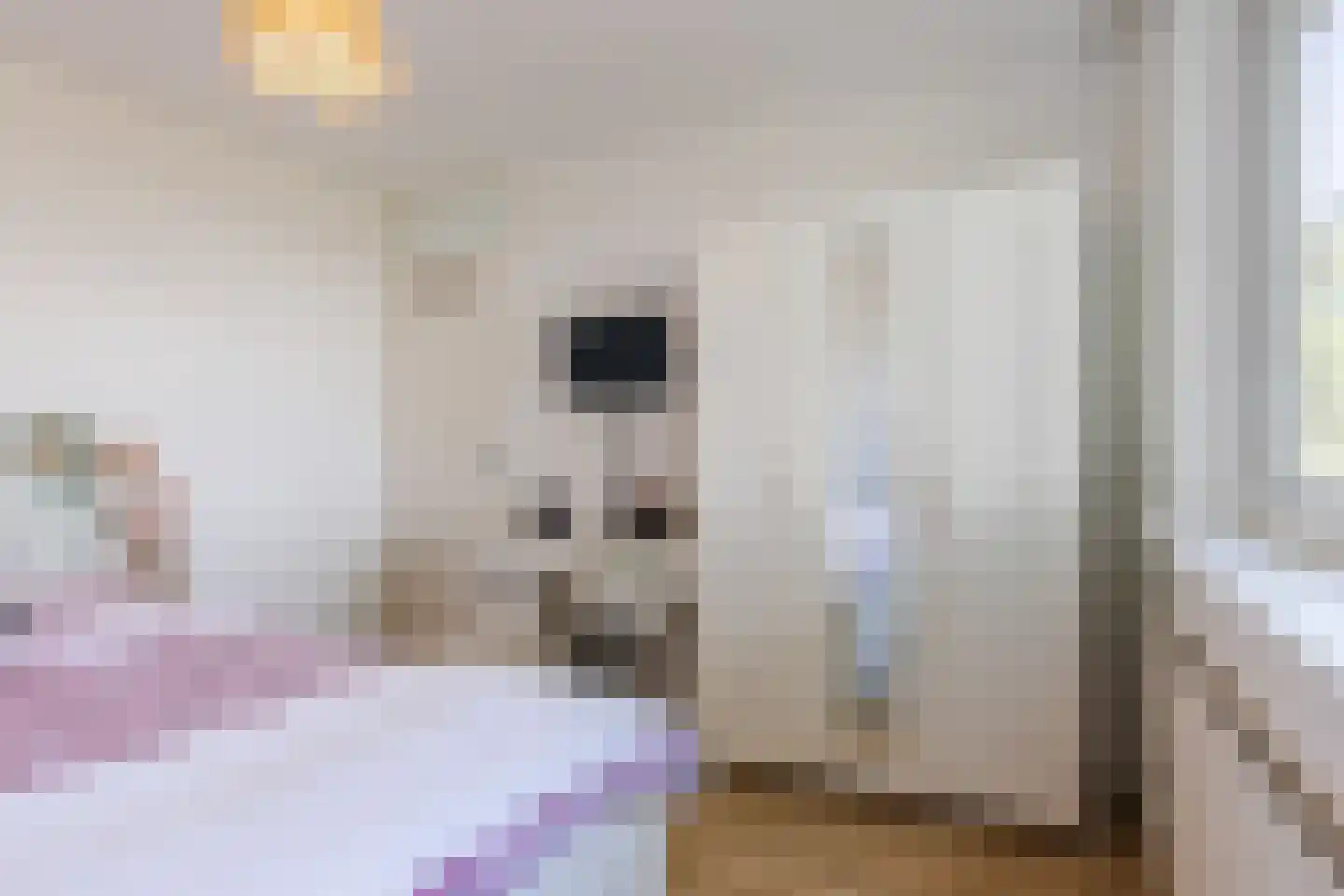 Noorderlaan 131 Dongen thumbnail 24