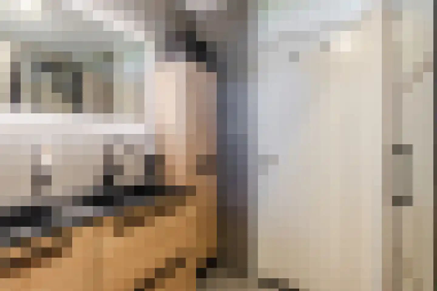Noorderlaan 131 Dongen thumbnail 30