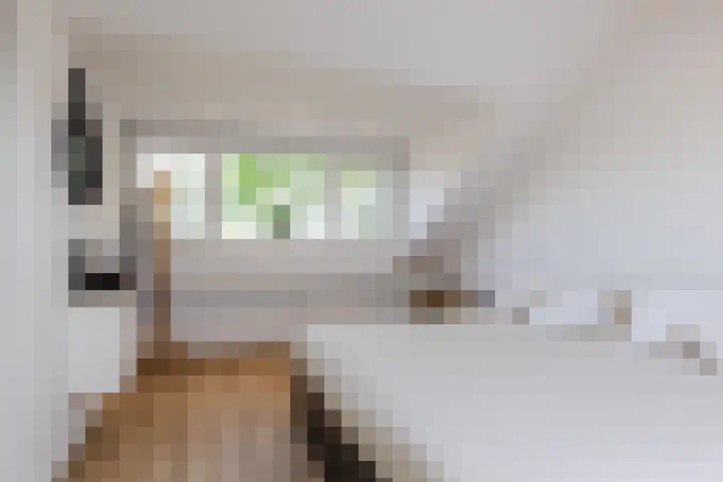 Noorderlaan 131 Dongen thumbnail 33