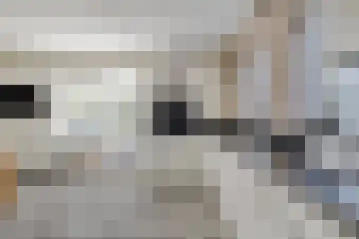 Noorderlaan 24 Nieuwolda thumbnail 20
