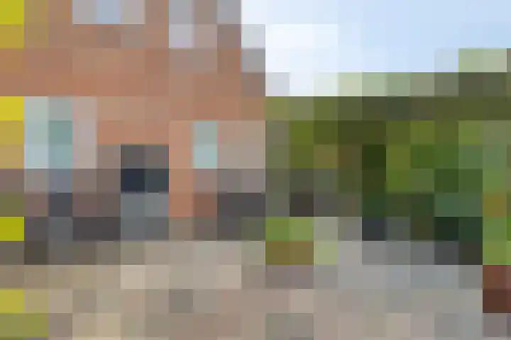 Noorderlaan 24 Nieuwolda thumbnail 39
