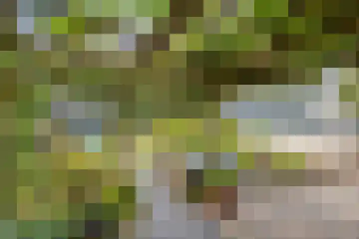 Noorderlaan 24 Nieuwolda thumbnail 41