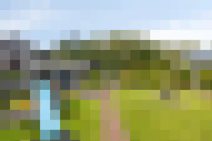 Noorderlaan 24 Nieuwolda thumbnail 42