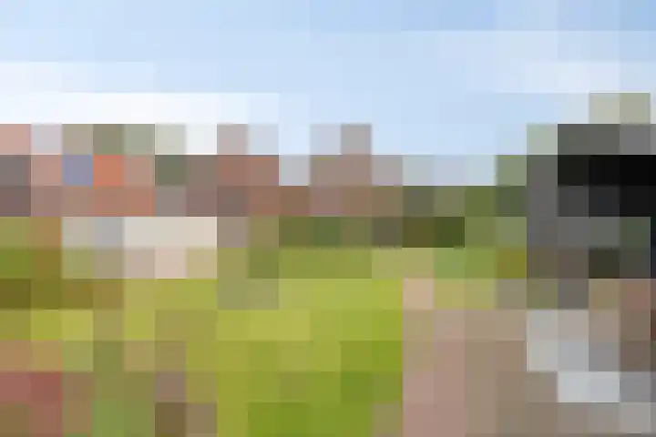 Noorderlaan 24 Nieuwolda thumbnail 43