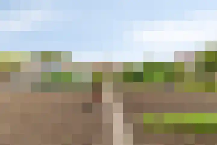Noorderlaan 24 Nieuwolda thumbnail 44