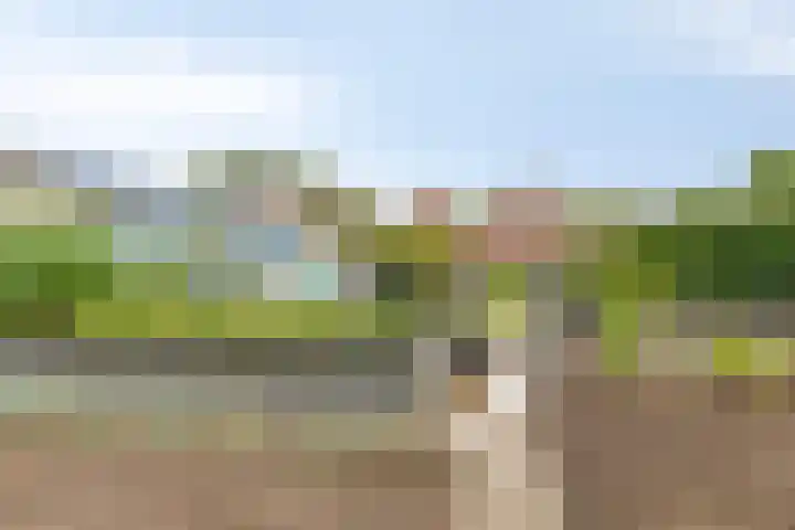 Noorderlaan 24 Nieuwolda thumbnail 45