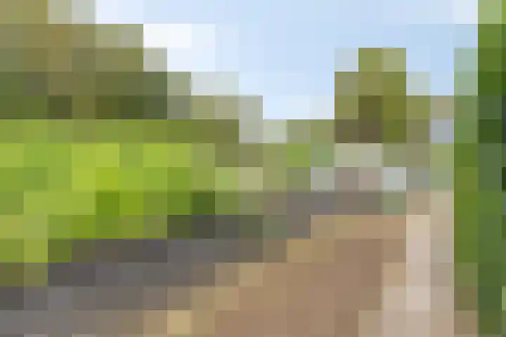 Noorderlaan 24 Nieuwolda thumbnail 46