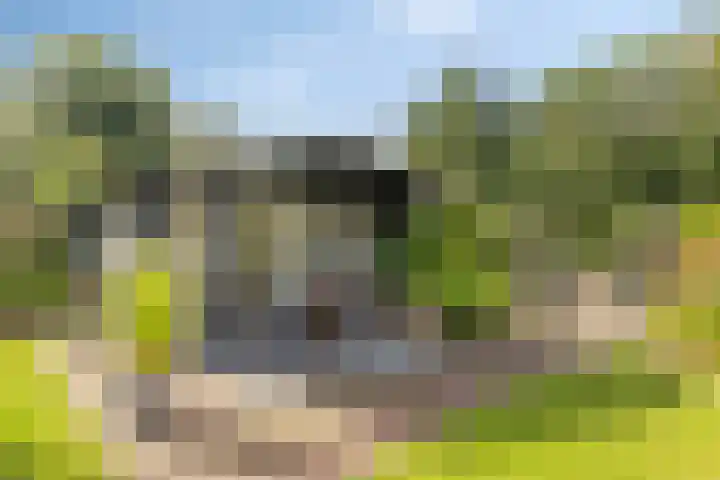 Noorderlaan 24 Nieuwolda thumbnail 47
