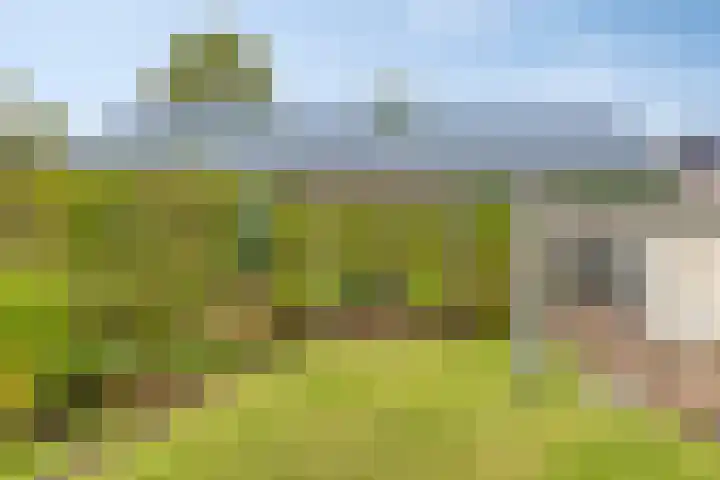 Noorderlaan 24 Nieuwolda thumbnail 49