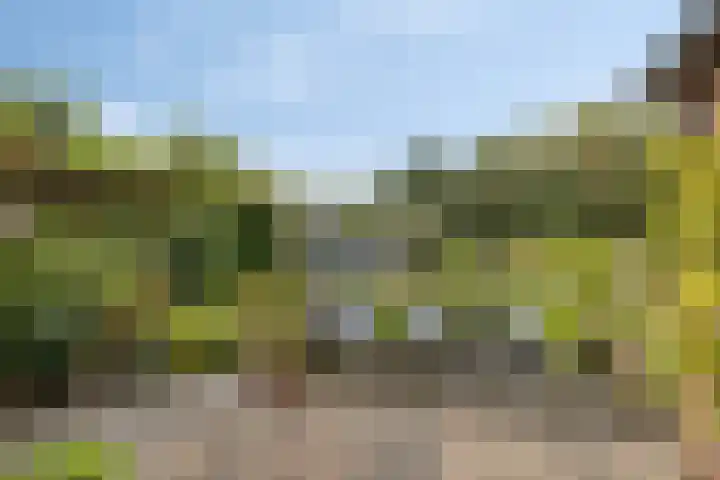 Noorderlaan 24 Nieuwolda thumbnail 5