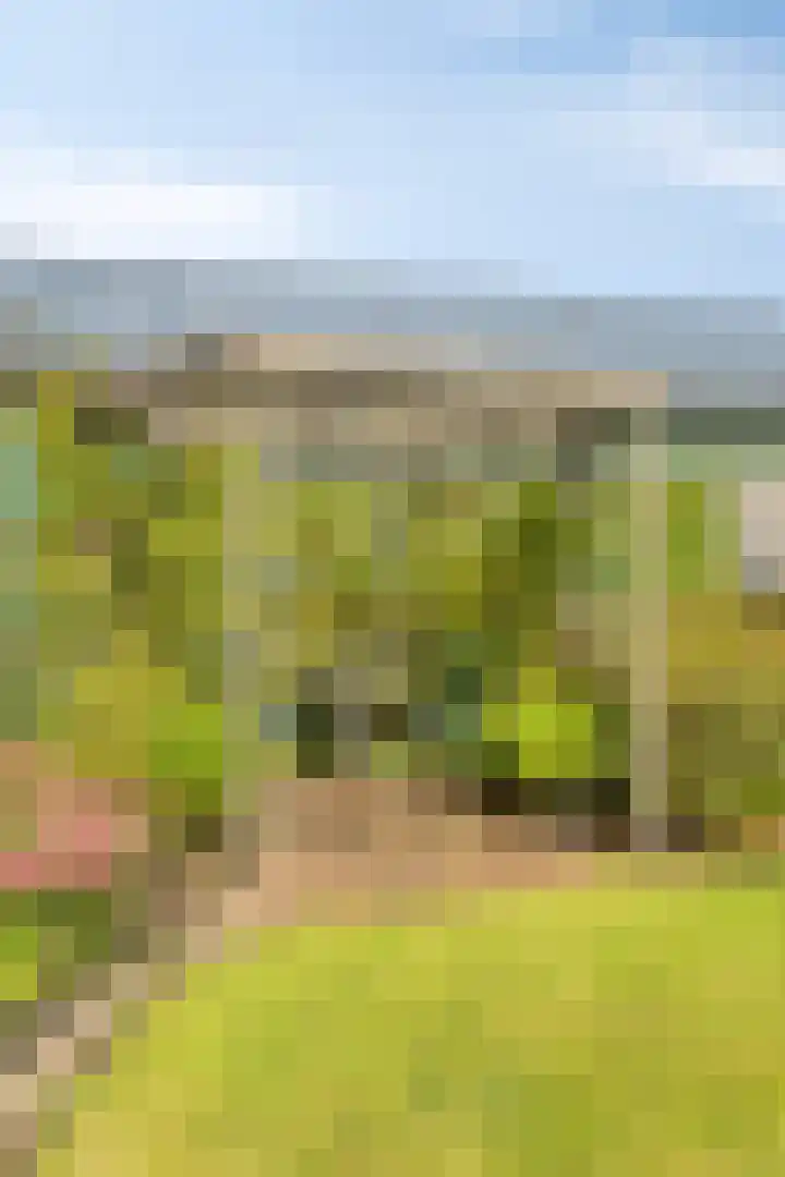 Noorderlaan 24 Nieuwolda thumbnail 51