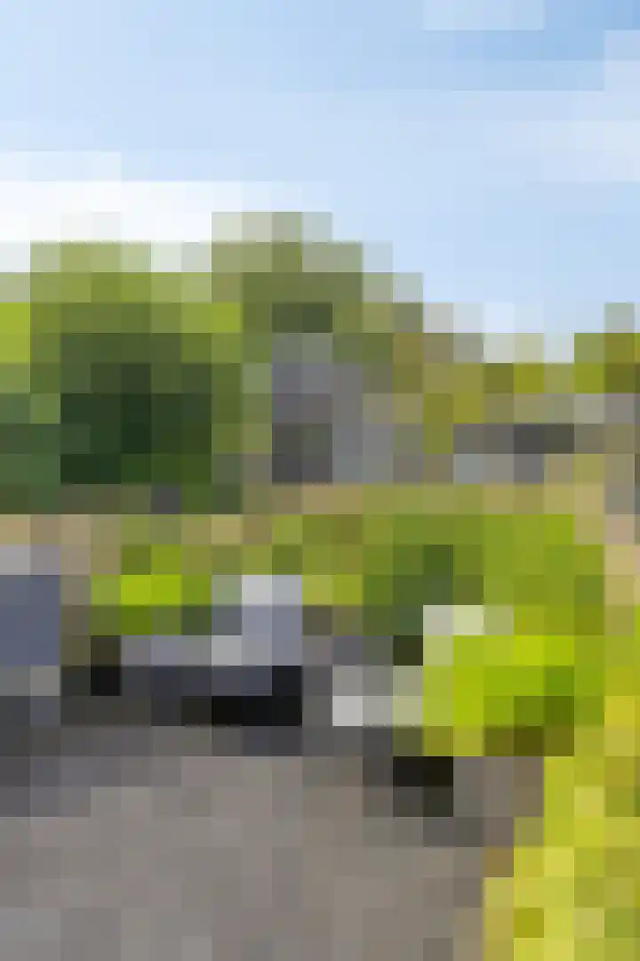 Noorderlaan 24 Nieuwolda thumbnail 52