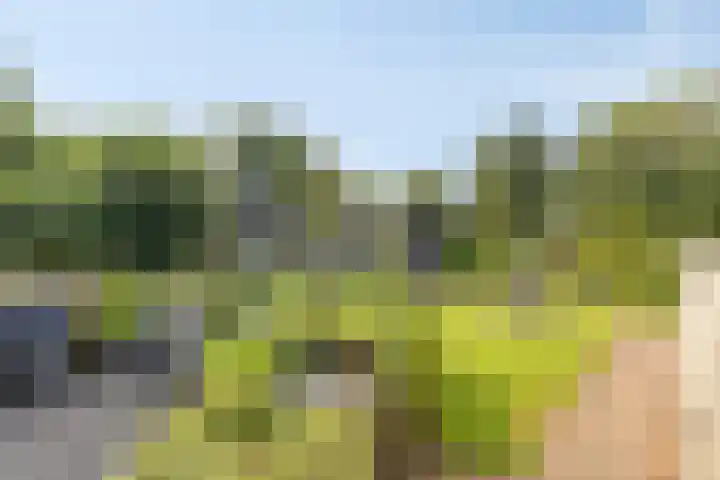 Noorderlaan 24 Nieuwolda thumbnail 53